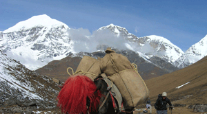 Hiking & Trekking of Bhutan
