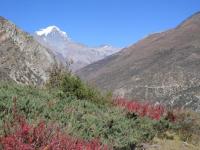 Everest Land trek taken this picture from Tilicho lake and mesokanta pass is so beautiful trek see more at www.everestlandtrek.com