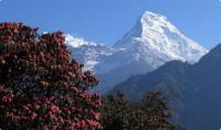 welcome to most popular trekking in Ghorepani pun hill trek see more details at www.everestlandtrek.com