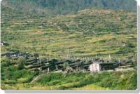 Everet land trek has been to leading in the fresh trekking destination since long year ago.